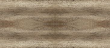 Chêne Monument Chêne Monument