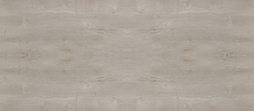 Chêne Champagne Chêne Champagne